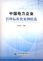 中國(guó)電力企業(yè)管理標(biāo)準(zhǔn)化案例精選