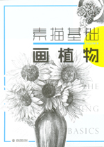 素描基礎(chǔ)  畫植物