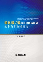 碳化硅/硅納米異質結陣列的制備和物性研