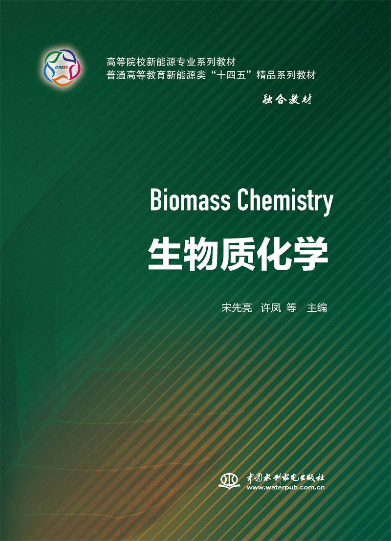 生物質化學（高等院校新能源專業系列教